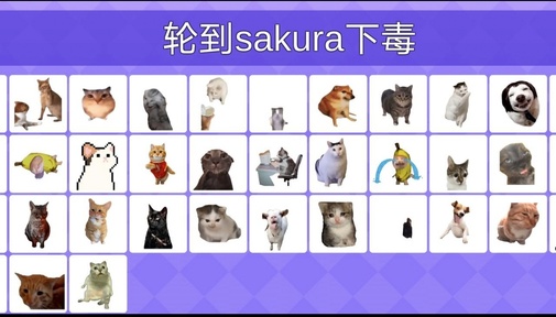 女巫的毒药猫meme版