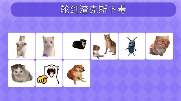 女巫的毒藥貓meme版