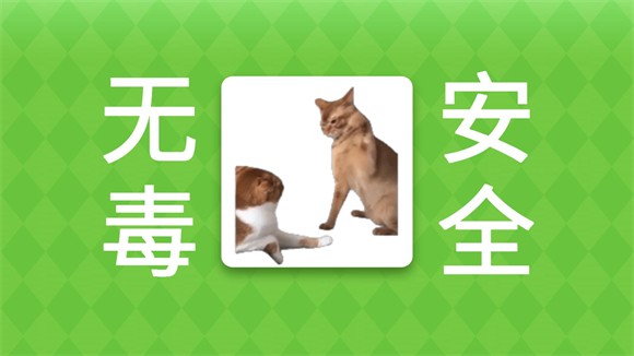 女巫的毒藥貓meme版