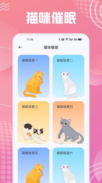 开心猫舍喵语10762