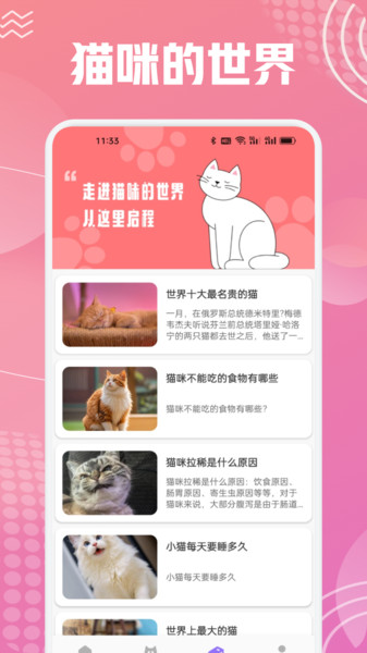 开心猫舍喵语10762
