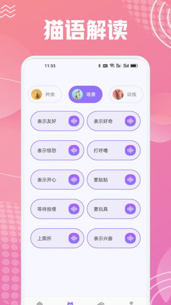 开心猫舍喵语10762