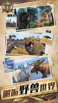 疯狂神射手2025版20159