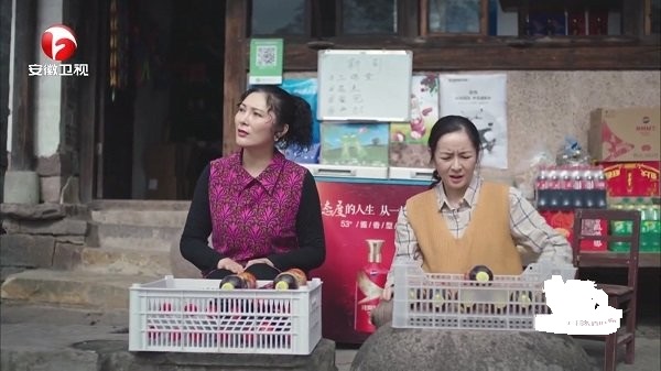 彩虹tv电视版本10849