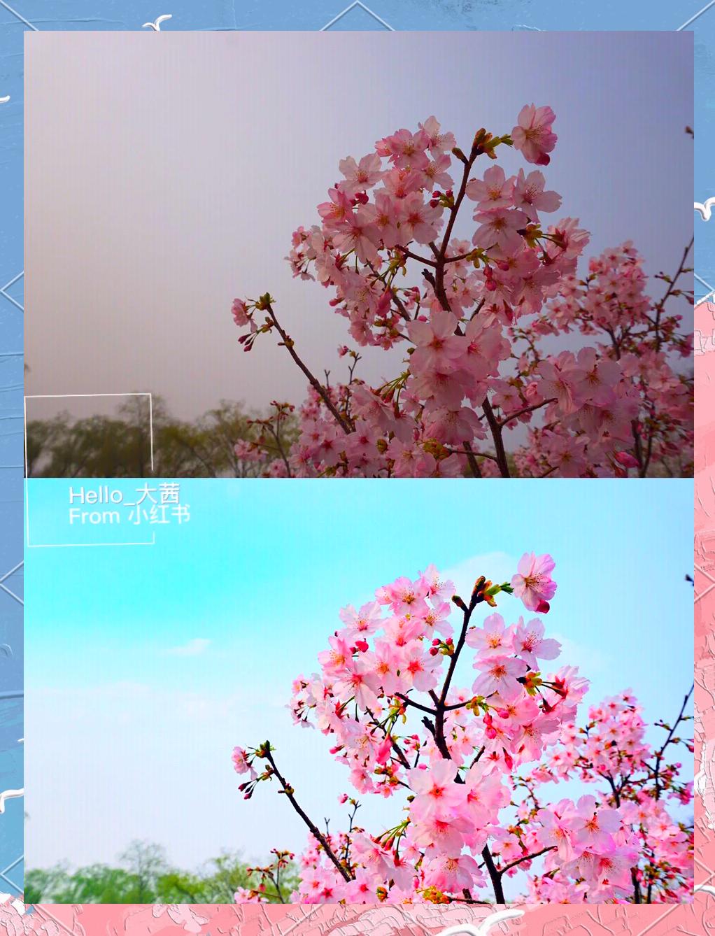 相機(jī)美化