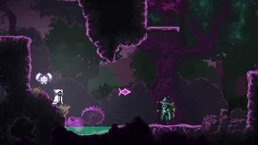 法师的遗产20357