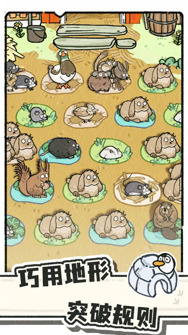 猫神牧场官方正版1