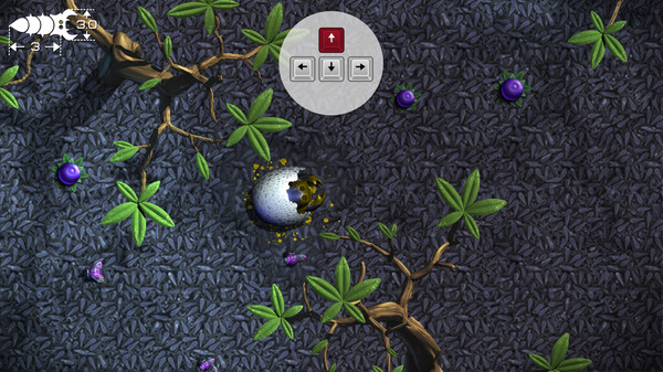 食肉虫模拟器官方正版20545