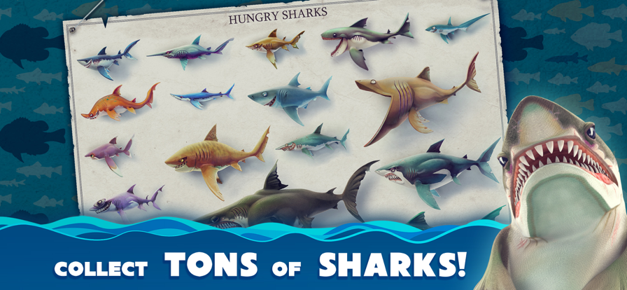 饥饿鲨世界国际服安卓版20862