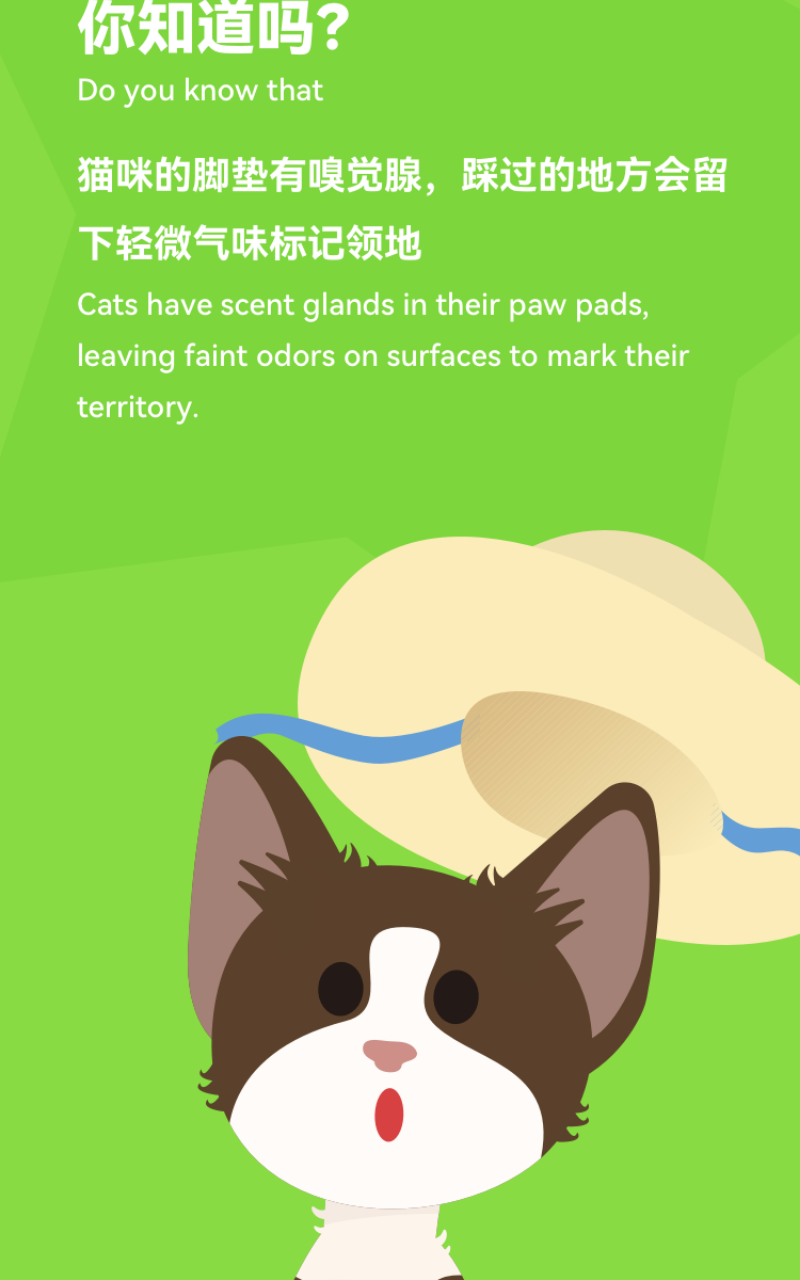 尾巴纪元202511199