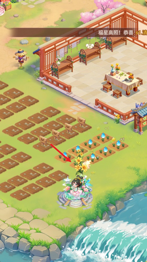 我的花园世界2025