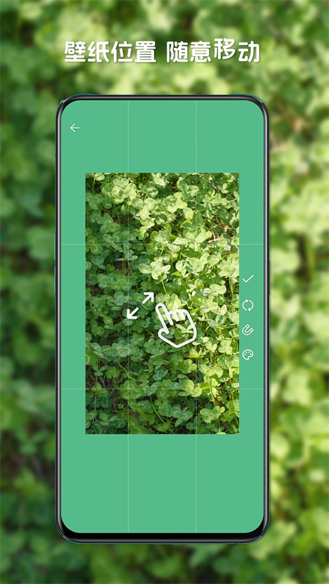 星咩视频壁纸正版0