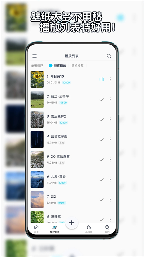 星咩视频壁纸正版1