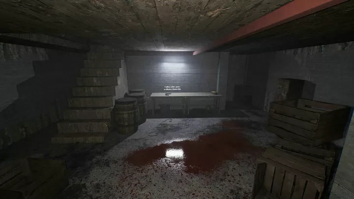 恐怖老奶奶重制版21046