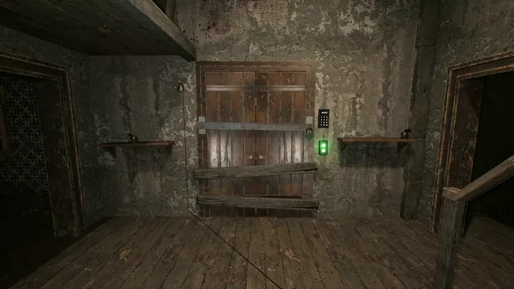 恐怖老奶奶重制版21046