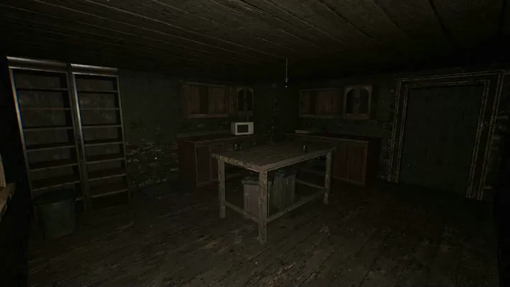 恐怖老奶奶重制版