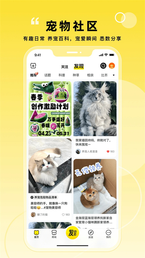 宠胖胖手机版11315