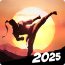 暗影格斗阴影2025版