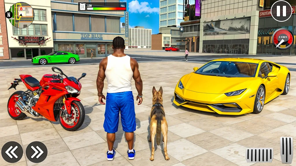 真实汽车驾驶3D21303