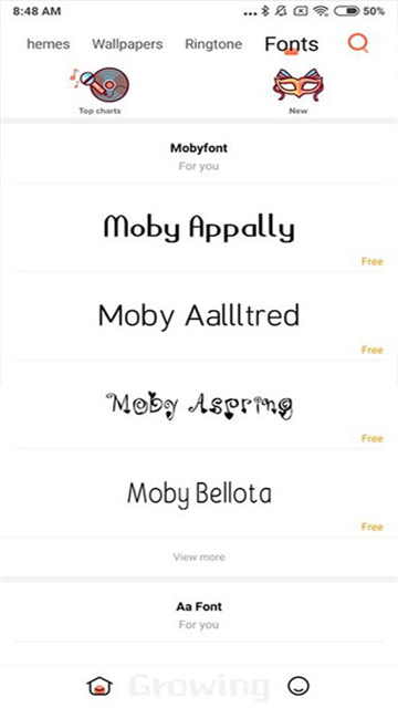 小米主题国际版2