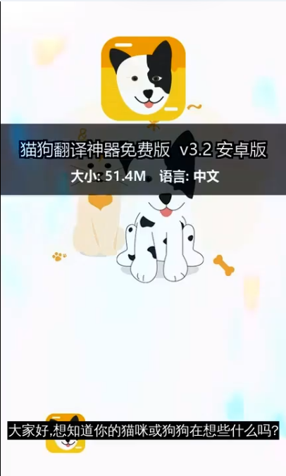 猫狗翻译神器2025