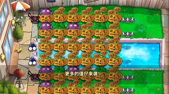 植物娘大战僵尸官方版