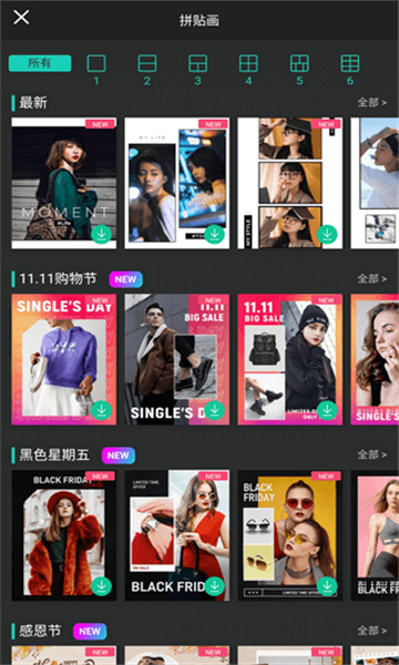 相片大师正版11838