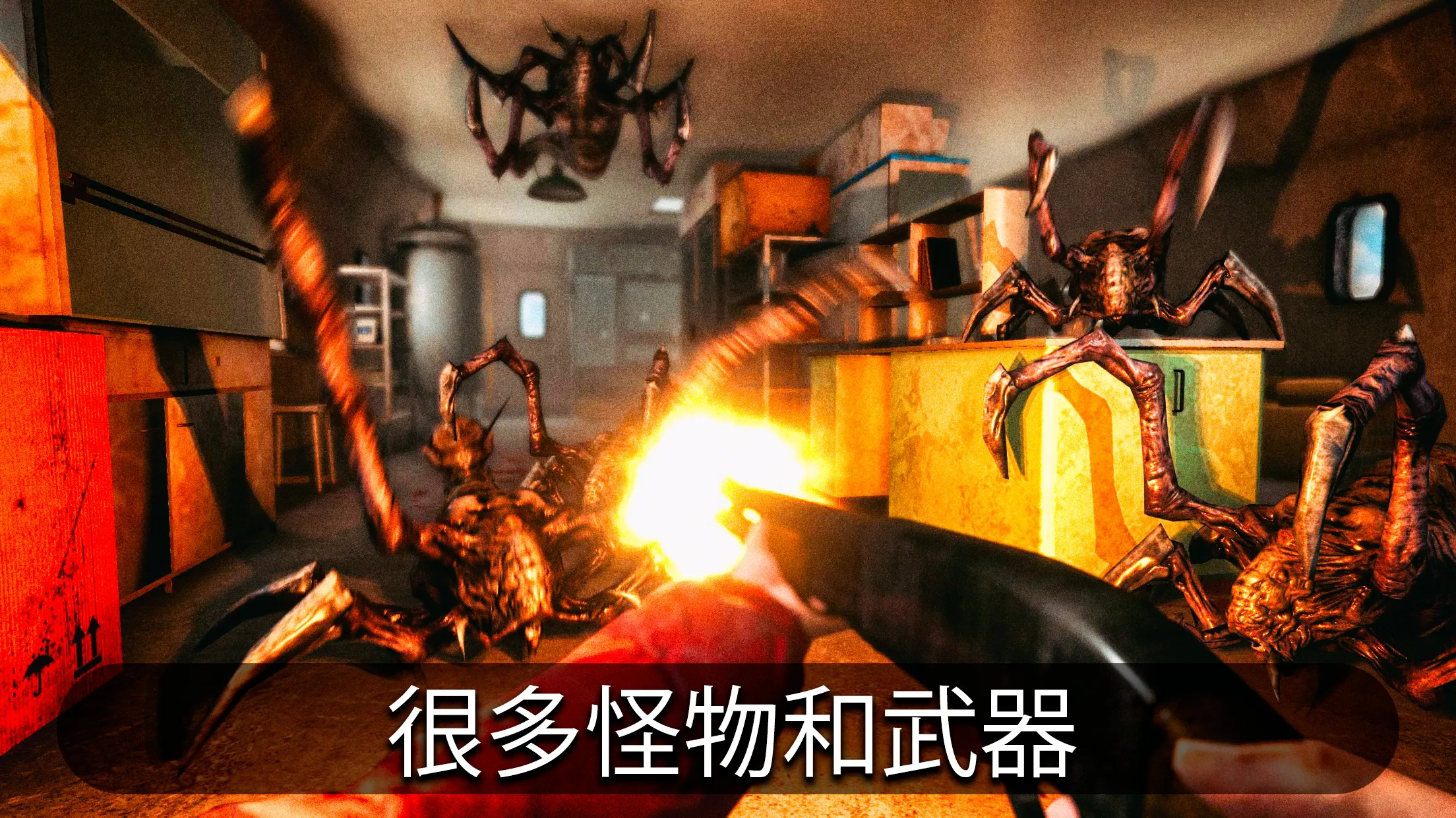 南极洲88号高级版21945