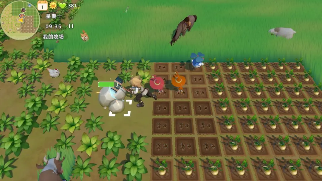 牧场气息202521981