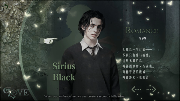 HP二次文明手机版22043