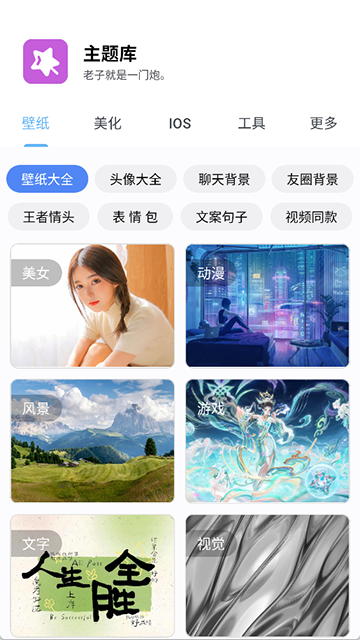 主题库专业版11950