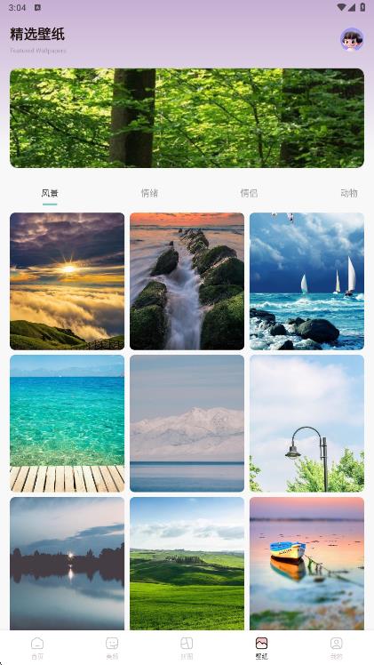 金银花相机11971