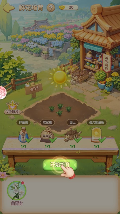 我的花园世界红包版