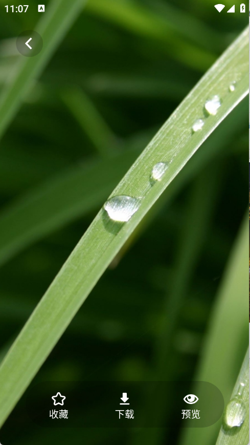 茄子漫画壁纸安卓版12057