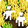 小梯田