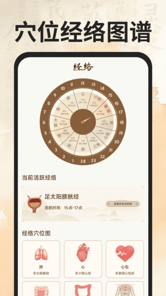 穴位经络图谱12080