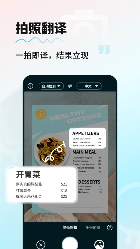 AI智能翻译通2025