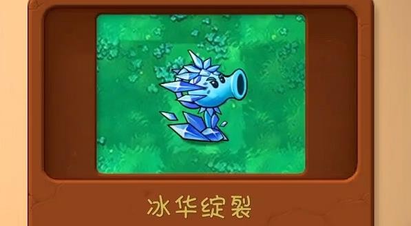 植物大战僵尸共生版手机版