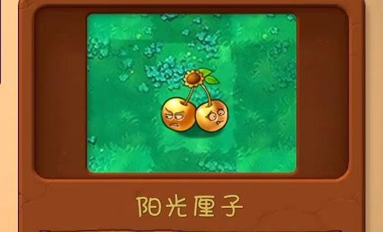 植物大战僵尸共生版手机版