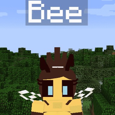 我的世界珍妮模组