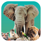 方舟动物园移植版