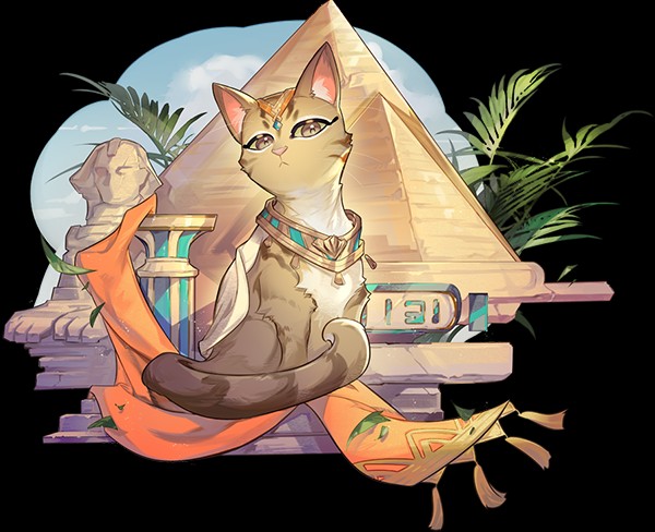 猫咪介绍3