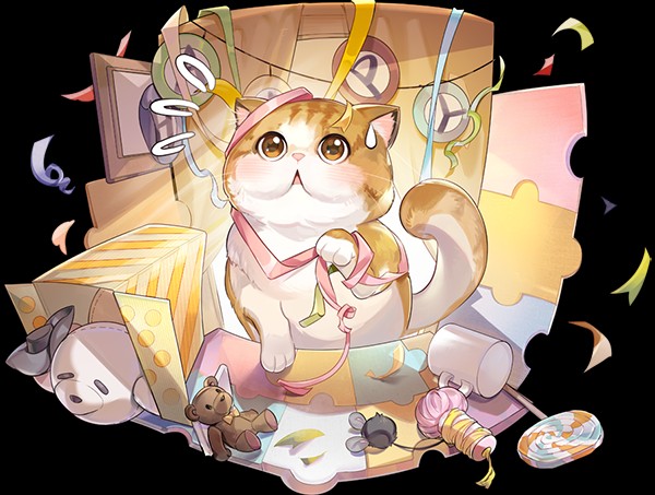 猫咪介绍5