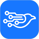 千鸟物联官方版