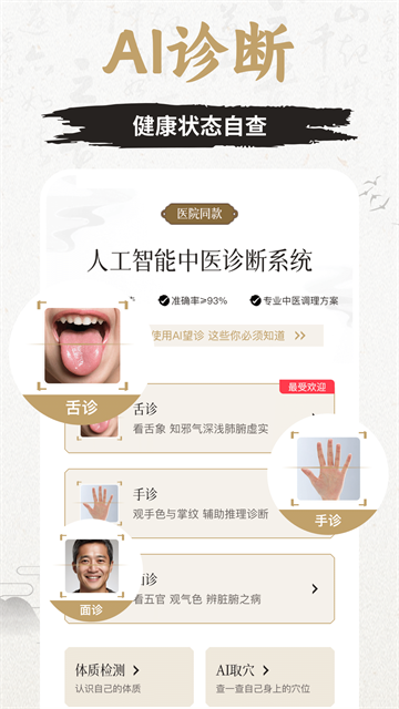 知源经络穴位20252
