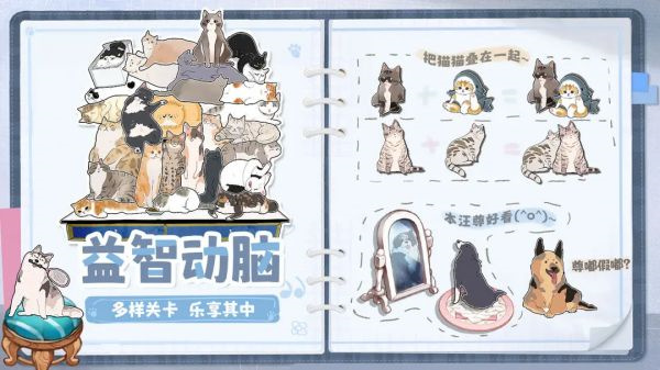 挤在一起的猫猫20250