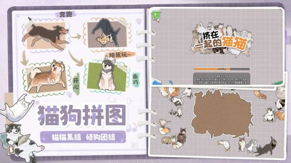 挤在一起的猫猫20251