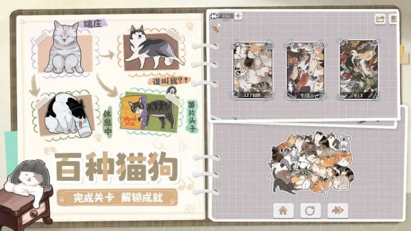 挤在一起的猫猫20252
