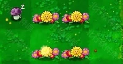 植物大战僵尸生态版