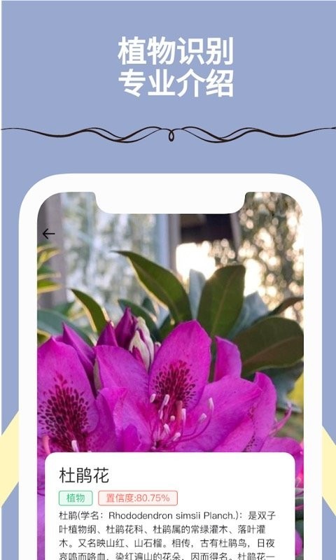 满分扫描王安卓版12721